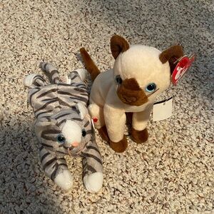 Prance and Siam two Ty beanie baby cats
